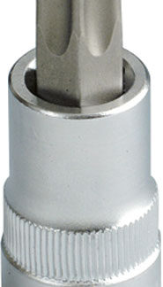 Projahn professional Bit-Steckschlüssel-Einsätze für Innen-TX Schrauben mit stirnseitiger Bohrung 12,5 / 1/2"