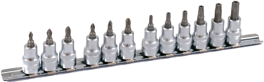 Projahn Steckschlüssel-Schiene bestückt für Kreuzschlitz-Schrauben PH/PZ und Innen-TX Schrauben 10 / 3/8" inkl. 12 Steckschlüssel-Einsätze