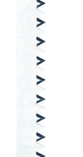 5 x PW5013C Stichsägeblätter