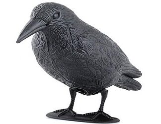 RABE VOGELSCHRECK 38 CM PLASTIC